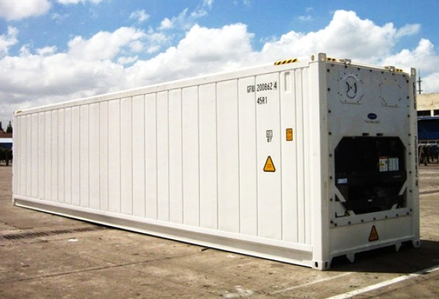 Đặc điểm và ứng dụng của container lạnh trong đời sống